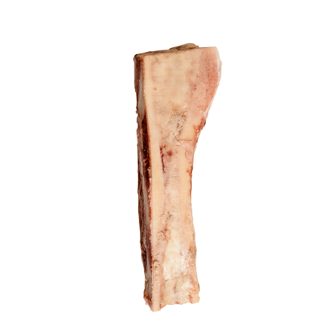 Bone Marrow